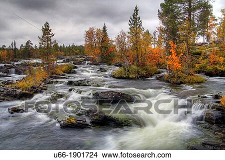 Trappstegsforsen, Saxn? s, Lappland, Sweden. View Large Photo Image Picture - Trappstegsforsen, Saxn? s, Lappland, Sweden.. Fotosearch