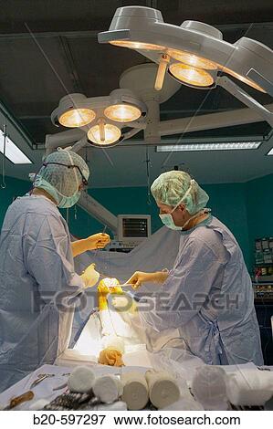 Traumatology operation room. Hospital de Zumarraga, Gipuzkoa, Euskadi, Spain View Large Photo Image Stock Photo - Traumatology operation room. Hospital de Zumarraga, Gipuzkoa, Euskadi, Spain. Fotosearch