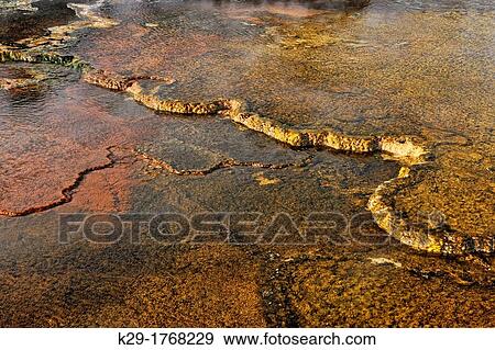 Travertine terraces in Dryad Spring in the Upper Terraces hot springs at Mammoth, Yellowstone NP, Wyoming, USA View Large Photo Image Stock Photo - Travertine terraces in Dryad Spring in the Upper Terraces hot springs at Mammoth, Yellowstone NP, Wyoming, USA. Fotosearch