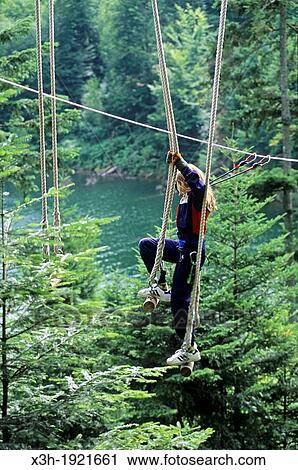 tree climbing on the lakeshore of Pierre-Percee, Meurthe-et-Moselle department, Lorraine region, France, Europe View Large Photo Image Stock Image - tree climbing on the lakeshore of Pierre-Percee, Meurthe-et-Moselle department, Lorraine region, France, Europe. Fotosearch