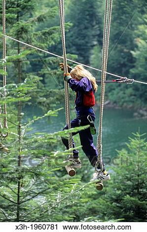 Stock Image - tree climbing on the lakeshore of Pierre-Percee, Meurthe-et-Moselle department, Lorraine region, France, Europe. Fotosearch