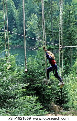 Stock Photo - tree climbing on the lakeshore of Pierre-Percee, Meurthe-et-Moselle department, Lorraine region, France, Europe. Fotosearch