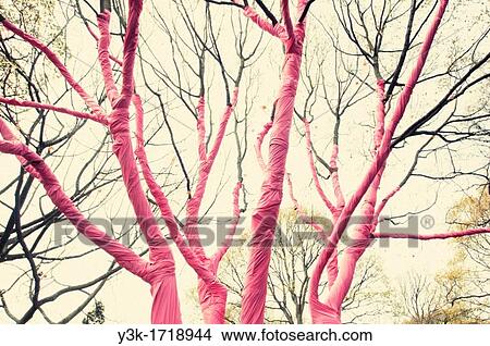 Tree covered by a pink sheet. View Large Photo Image Picture - Tree covered by a pink sheet.. Fotosearch