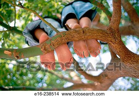 tree feet View Large Photo Image Picture - tree feet. Fotosearch