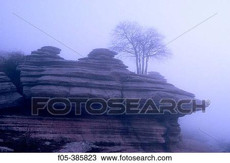 Tree growing on limestone rock formation in foggy morning. Torcal de Antequera Natural Park, MBlaga province, Spain. View Large Photo Image Stock Image - Tree growing on limestone rock formation in foggy morning. Torcal de Antequera Natural Park, MBlaga province, Spain.. Fotosearch