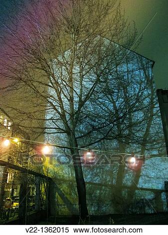Stock Photography - TREE REFLECTION. Fotosearch