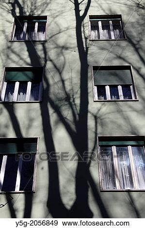 tree shadow on apartment block in rome italy. View Large Photo Image Stock Photo - tree shadow on apartment block in rome italy.. Fotosearch