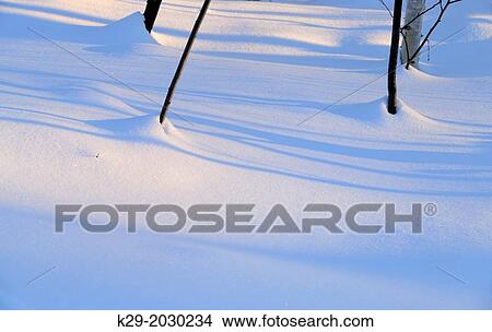 Tree shadows on snow, Greater Sudbury (Lively), Ontario, Canada. View Large Photo Image Picture - Tree shadows on snow, Greater Sudbury (Lively), Ontario, Canada.. Fotosearch
