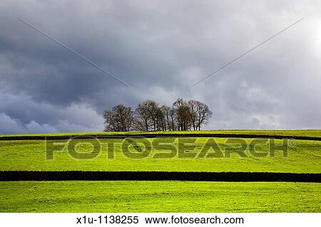 Trees and Stormy Sky Wensleydale Yorkshire Dales England View Large Photo Image Stock Photography - Trees and Stormy Sky Wensleydale Yorkshire Dales England. Fotosearch
