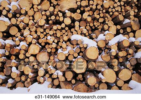 Trees, cut and stacked View Large Photo Image Picture - Trees, cut and stacked. Fotosearch