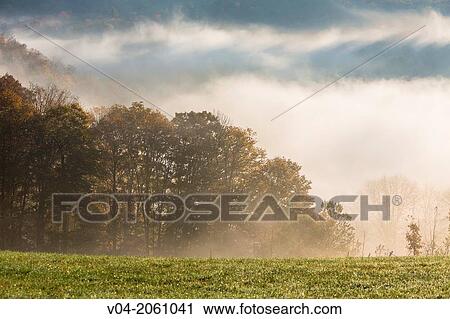 Trees in the morning mist, Vermont, USA View Large Photo Image Stock Image - Trees in the morning mist, Vermont, USA. Fotosearch