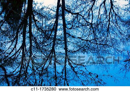 trees reflected in water, Connelles, Eure, Normandy, France, Europe View Large Photo Image Stock Image - trees reflected in water, Connelles, Eure, Normandy, France, Europe. Fotosearch