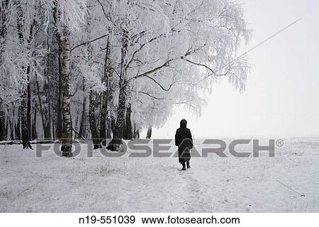 Trees under snow, Snegiri, Moscow region, Russia View Large Photo Image Stock Photo - Trees under snow, Snegiri, Moscow region, Russia. Fotosearch