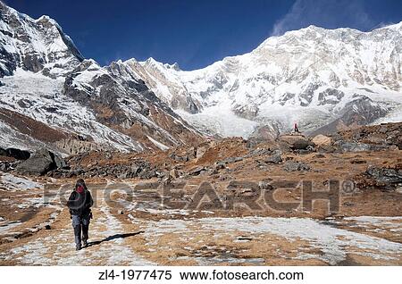 Stock Photography - Trekker at Annapurna Base Camp. Nepal, Gandaki, Annapurna, Annapurna Base Camp. Fotosearch