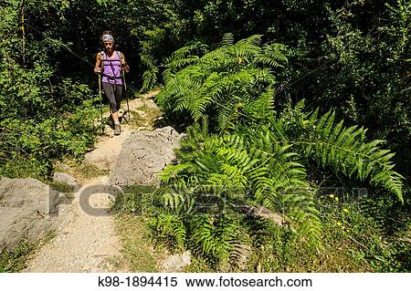 Stock Photography - Trekker ferns, Way of the Plains of Larri, Pyrenees Aragones, Huesca, Spain. Fotosearch