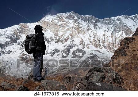 Stock Photograph - Trekker watching Annapurna 1, 8091m, from the base camp. Nepal, Gandaki, Annapurna, Annapurna Base Camp. Model Released.. Fotosearch
