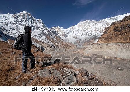Stock Photography - Trekker watching Annapurna 1, 8091m, from the base camp. Nepal, Gandaki, Annapurna, Annapurna Base Camp. Model Released.. Fotosearch