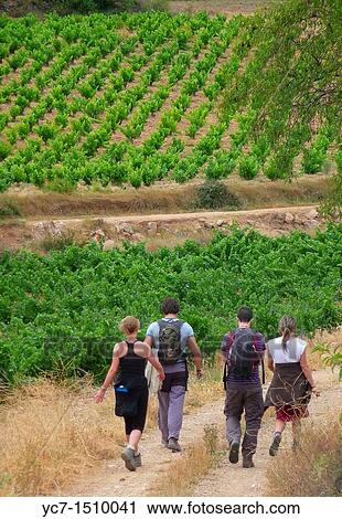 trekking in cariena View Large Photo Image Stock Image - trekking in cariena. Fotosearch