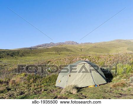 Trekking in the Mt. Kenya National Park a UNESCO World Heritage site. Chogoria Route, campsite at the trailhead with Mount Kenya in the background. Africa, East Africa, kenya, Mount Kenya national park, November View Large Photo Image Stock Image - Trekking in the Mt. Kenya National Park a UNESCO World Heritage site. Chogoria Route, campsite at the trailhead with Mount Kenya in the background. Africa, East Africa, kenya, Mount Kenya national park, November. Fotosearch