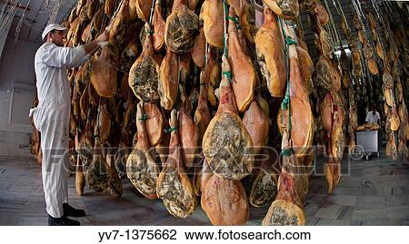 Trevelez drier hams Alpujarra, Granada, Andalusia, Spain View Large Photo Image Stock Image - Trevelez drier hams Alpujarra, Granada, Andalusia, Spain. Fotosearch