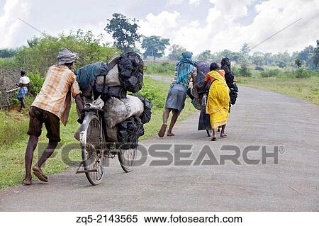 Tribal couple carrying coals uphill on a cycle. Santhaltribe. Jarkatand village, Bokaro district, Jharkhand. View Large Photo Image Stock Photography - Tribal couple carrying coals uphill on a cycle. Santhaltribe. Jarkatand village, Bokaro district, Jharkhand.. Fotosearch
