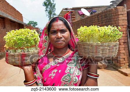 Tribal people celebrating Karma Puja festival with seedlings. Baludih village district Bokaro, Jharkhand. View Large Photo Image Stock Image - Tribal people celebrating Karma Puja festival with seedlings. Baludih village district Bokaro, Jharkhand.. Fotosearch