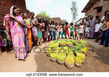 Tribal people celebrating Karma Puja festival dancing around the plant seedlings. Baludih village district Bokaro, Jharkhand. View Large Photo Image Stock Photograph - Tribal people celebrating Karma Puja festival dancing around the plant seedlings. Baludih village district Bokaro, Jharkhand.. Fotosearch