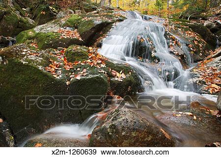 Tributary of Lost River in Woodstock, New Hampshire USA during the autumn months View Large Photo Image Stock Photo - Tributary of Lost River in Woodstock, New Hampshire USA during the autumn months. Fotosearch