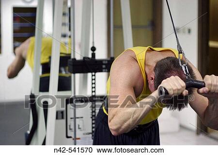 Tricep press weight machine, Abu Dhabi, United Arab Emirates View Large Photo Image Stock Image - Tricep press weight machine, Abu Dhabi, United Arab Emirates. Fotosearch
