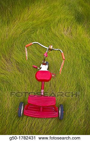 Tricycle in Marsh View Large Photo Image Stock Image - Tricycle in Marsh. Fotosearch