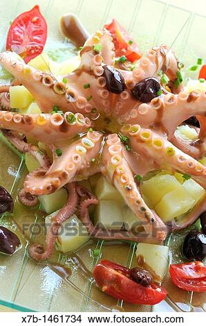 Trieste Italy Octopus with potato salad at the Audace Caf? Audace Caf? Polipo in Insalata di Patate Piazza Unit? d? Italia View Large Photo Image Picture - Trieste Italy Octopus with potato salad at the Audace Caf? Audace Caf? Polipo in Insalata di Patate Piazza Unit? d? Italia. Fotosearch