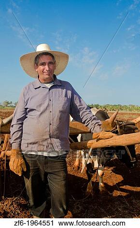 Trinidad Cuba farmer with traditional plow with oxen in rich Cuban soil planting corn. View Large Photo Image Stock Image - Trinidad Cuba farmer with traditional plow with oxen in rich Cuban soil planting corn.. Fotosearch
