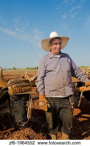 Trinidad Cuba farmer with traditional plow with oxen in rich Cuban soil planting corn. View Large Photo Image Stock Image - Trinidad Cuba farmer with traditional plow with oxen in rich Cuban soil planting corn.. Fotosearch