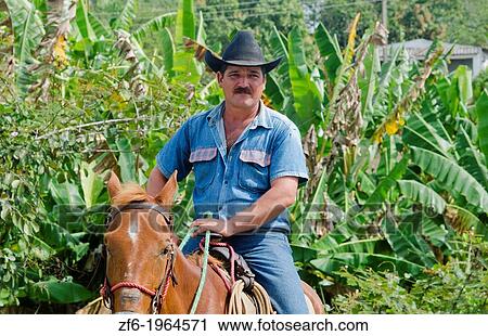 Trinidad Cuba real cowboy on horse riding on road portrait from ranch. View Large Photo Image Stock Image - Trinidad Cuba real cowboy on horse riding on road portrait from ranch.. Fotosearch