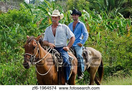 Trinidad Cuba real cowboys on horses riding on road portrait from ranch. View Large Photo Image Picture - Trinidad Cuba real cowboys on horses riding on road portrait from ranch.. Fotosearch