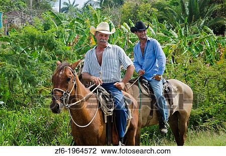Trinidad Cuba real cowboys on horses riding on road portrait from ranch. View Large Photo Image Stock Image - Trinidad Cuba real cowboys on horses riding on road portrait from ranch.. Fotosearch
