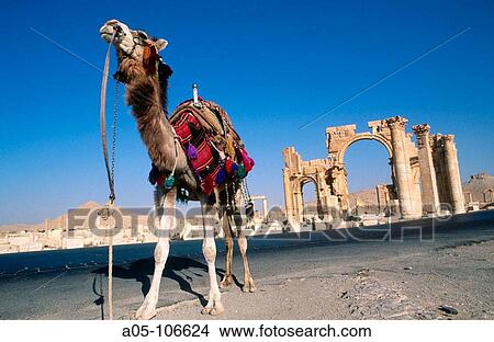 Triumphal arch. Greco-Roman city. Palmyra. Syria View Large Photo Image Picture - Triumphal arch. Greco-Roman city. Palmyra. Syria. Fotosearch