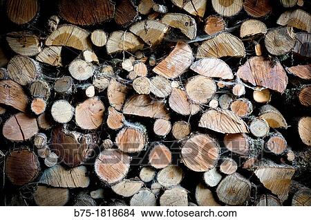 troncos talados de arboles, trunks of trees felled View Large Photo Image Picture - troncos talados de arboles, trunks of trees felled. Fotosearch