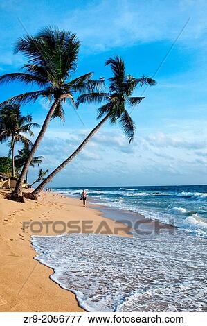 Stock Photo - Tropical beach, Mt. Lavinia, Sri Lanka, Indian Ocean, Asia.. Fotosearch