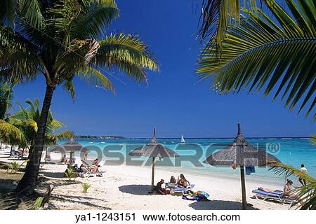 Trou aux biches beach, Mauritius Island Indian Ocean View Large Photo Image Stock Image - Trou aux biches beach, Mauritius Island Indian Ocean. Fotosearch
