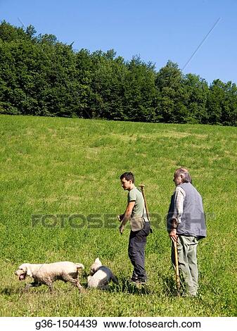 Stock Photo - Truffle hunting in Portico de Romagna, Emilia-Romagna, Italy. Fotosearch