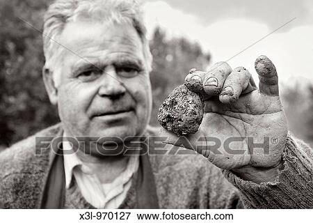Truffle seeker Murieta Navarra Spain View Large Photo Image Stock Photo - Truffle seeker Murieta Navarra Spain. Fotosearch