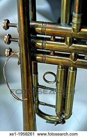 trumpet, musical instrument. View Large Photo Image Stock Image - trumpet, musical instrument.. Fotosearch