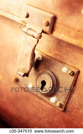 Trunk View Large Photo Image Stock Image - Trunk. Fotosearch