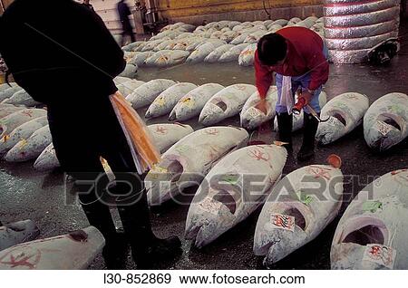 Tsukiji fish market, Tokyo, Japan View Large Photo Image Stock Photo - Tsukiji fish market, Tokyo, Japan. Fotosearch