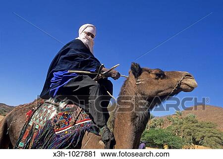 Tuareg riding camel, A? r, Niger, Western Africa View Large Photo Image Stock Image - Tuareg riding camel, A? r, Niger, Western Africa. Fotosearch