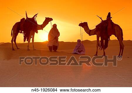 Tuareg; Tuareg and her Camel; Tuareg Caravan; Sunset; Libyan Desert; Libyan Arab Jamahiriya. View Large Photo Image Picture - Tuareg; Tuareg and her Camel; Tuareg Caravan; Sunset; Libyan Desert; Libyan Arab Jamahiriya.. Fotosearch
