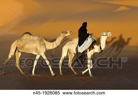 Stock Photography - Tuareg; Tuareg is riding a Camel; Tuareg Caravan; Libyan Desert; Libyan Arab Jamahiriya.. Fotosearch