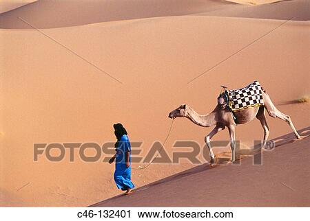 Stock Image - Tuareg with camel. Merzouga Dunes. Morocco. Fotosearch