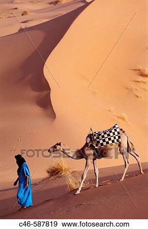 Tuareg with camel. Merzouga Dunes. Morocco View Large Photo Image Stock Photo - Tuareg with camel. Merzouga Dunes. Morocco. Fotosearch